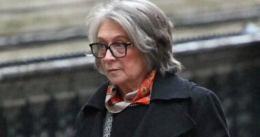 Mother, 72, sues millionaire son in bitter £2m court battle