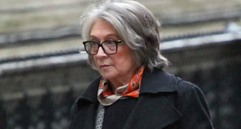Mother, 72, sues millionaire son in bitter £2m court battle