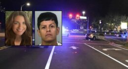 Mother of 2 killed after being hit by speeding drunk driver