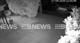 motorcycle 300 km/h chase