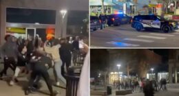 'Multiple victims' reported near University of Iowa after wild brawl led to mass shooting
