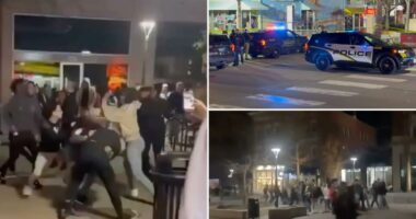 'Multiple victims' reported near University of Iowa after wild brawl led to mass shooting