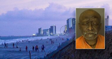 Myrtle Beach man with lengthy arrest record charged with stabbing two people in popular beach destination
