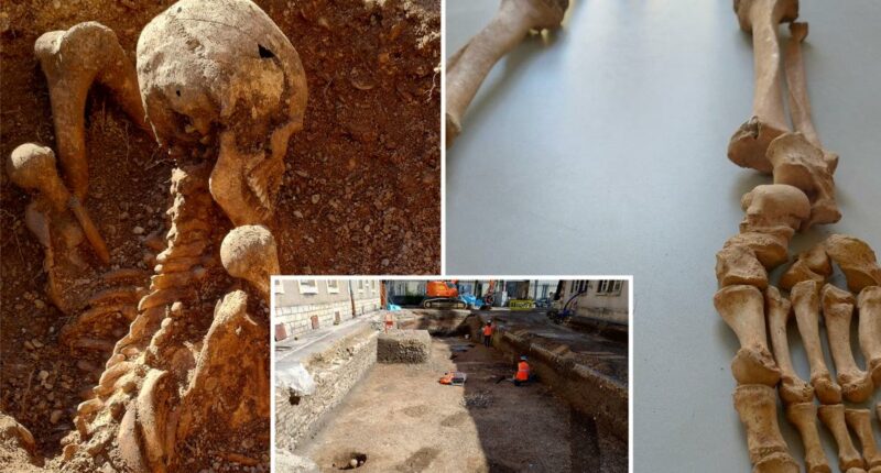 Mystery deepens as skeletons with sword wounds found beneath elementary school
