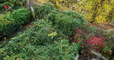 Mystery of the mummified corpse found in a £4m mansion is solved