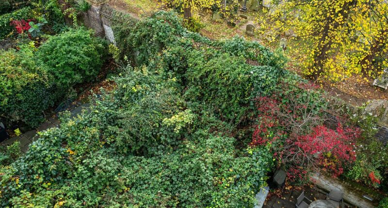 Mystery of the mummified corpse found in a £4m mansion is solved