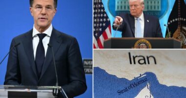 NATO boss Mark Rutte rips Europe for 'unhealthy co-dependence' on US, acknowledges Trump is 'dissapointed'