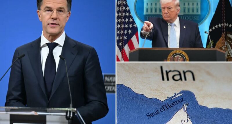 NATO boss Mark Rutte rips Europe for 'unhealthy co-dependence' on US, acknowledges Trump is 'dissapointed'