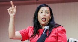 NJ's new congresswoman Analilia Mejia is a darling of the left â and comparisons to socialist Zohran Mamdani are already flowing