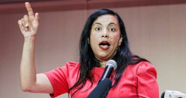 NJ's new congresswoman Analilia Mejia is a darling of the left â and comparisons to socialist Zohran Mamdani are already flowing