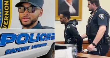 NY cop hailed as a hero after fire rescue busted in goofy $800K check scam: DA