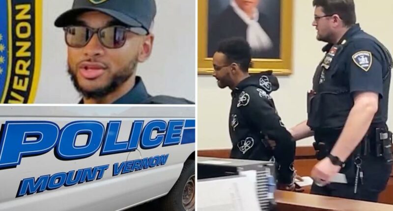 NY cop hailed as a hero after fire rescue busted in goofy $800K check scam: DA