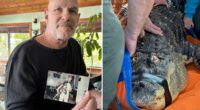 NY man gives up the fight for his 12-foot emotional support pet alligator