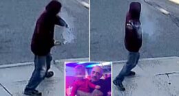 NY pipe bomb suspect Raymond Elders tosses explosives outside house in new video