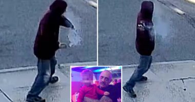 NY pipe bomb suspect Raymond Elders tosses explosives outside house in new video