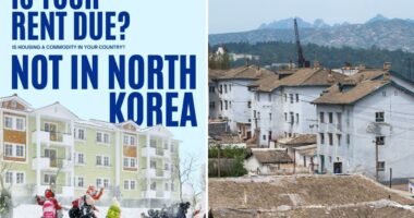 NYC-based nonprofit Nodutdol promotes North Korea as utopia
