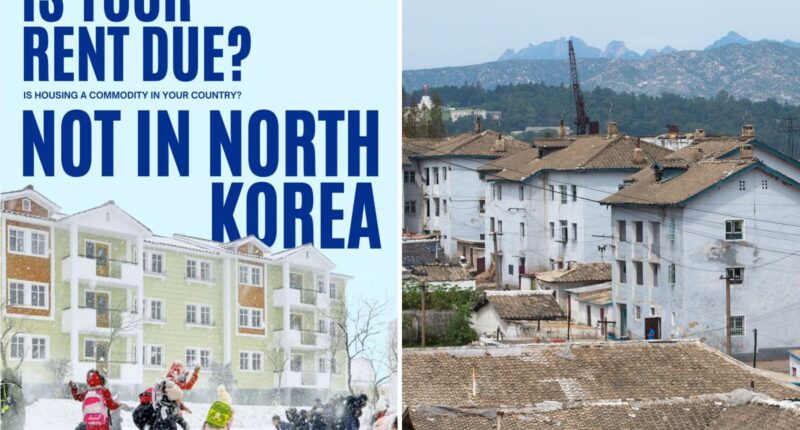 NYC-based nonprofit Nodutdol promotes North Korea as utopia