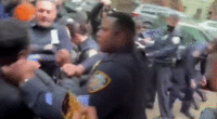 New York City Council Member Chi Ossé thrown to ground and arrested