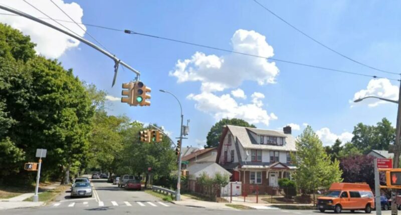 NYC driver who randomly attacked 5 strangers was working for Amazon during unhinged rampage