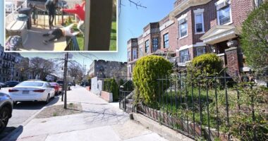 NYC grandma, 75, brutally pummeled over dog poop clean-up request â until Navy vet neighbor steps in: video