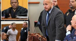 NYC judge who locked up 'cooler cop' faced anger for going easy on teen who killed homeless man