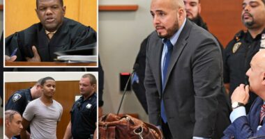 NYC judge who locked up 'cooler cop' faced anger for going easy on teen who killed homeless man