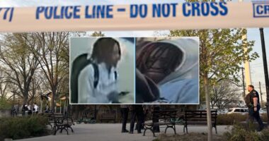 NYC teen shot dead on Queens basketball court as bystanders filmed; police searching for gunman