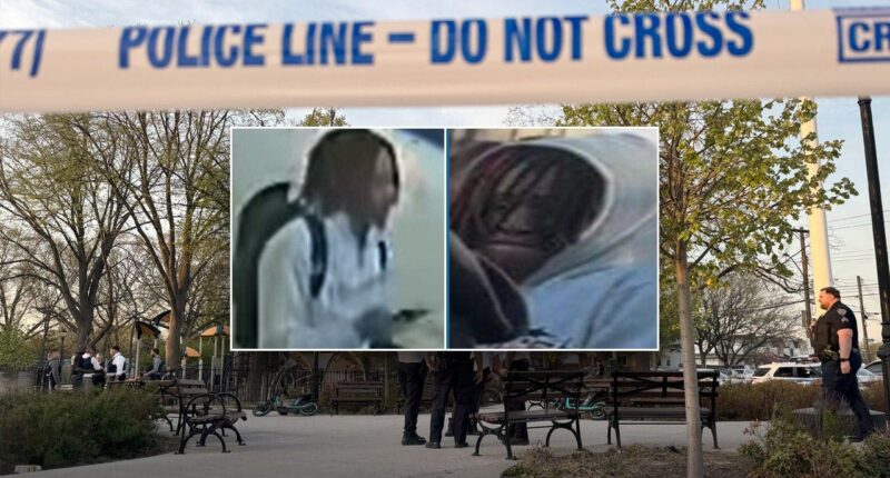 NYC teen shot dead on Queens basketball court as bystanders filmed; police searching for gunman