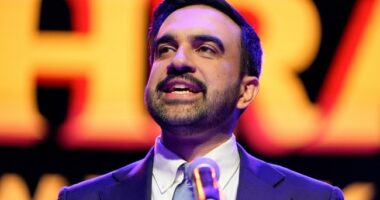 NYC's Commie Mayor Mamdani, Democrats Have a Message for 'Rich' Homeowners on Tax Day