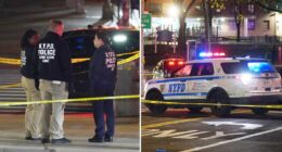 NYPD cop opens fire on career criminal who shot man outside NYC store in ambush-style attack