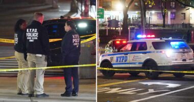 NYPD cop opens fire on career criminal who shot man outside NYC store in ambush-style attack