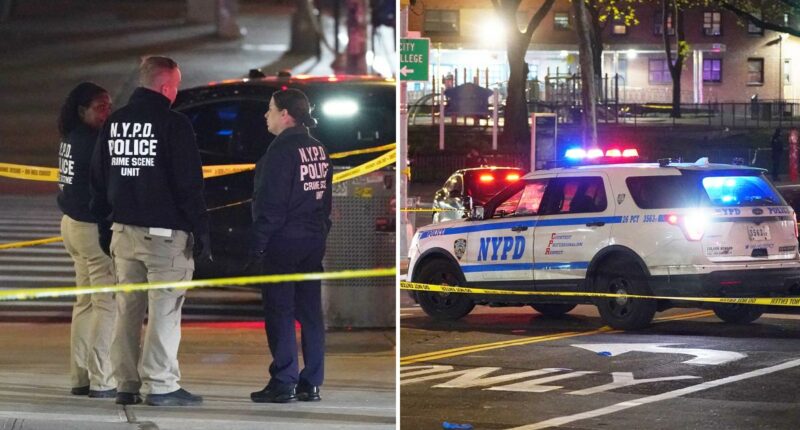 NYPD cop opens fire on career criminal who shot man outside NYC store in ambush-style attack