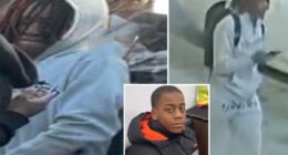 NYPD identifies teen who allegedly gunned down boy, 15, when gang beef erupted at innocent water gun fight