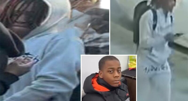 NYPD identifies teen who allegedly gunned down boy, 15, when gang beef erupted at innocent water gun fight