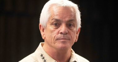 Nancy Guthrie sheriff brought loaded GUN to TSA