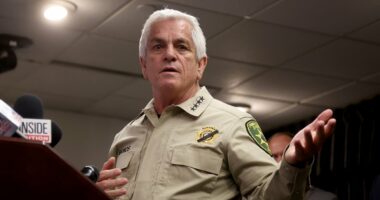 Nancy Guthrie sheriff's appalling past revealed in new documents