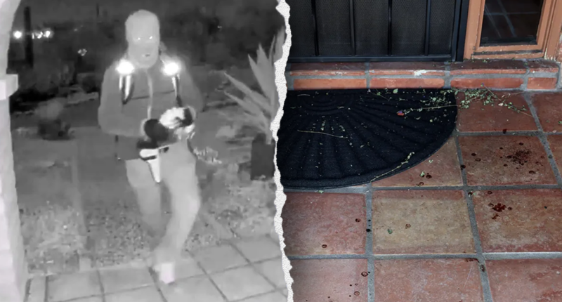 Nancy Guthrie's front door blood evidence points to ‘single abductor’: former FBI profiler