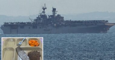 Navy denies 'poor quality' food on warships deployed to Middle East after viral photos of 'rationed slop'