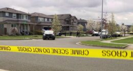 Neighbor fatally shoots alleged gunman after 2 women shot in domestic dispute