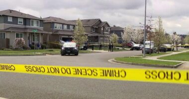 Neighbor fatally shoots alleged gunman after 2 women shot in domestic dispute