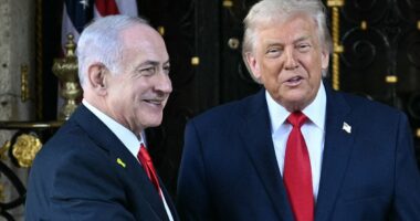 Netanyahu praises Trump for 'perfectly executed' rescue of pilot