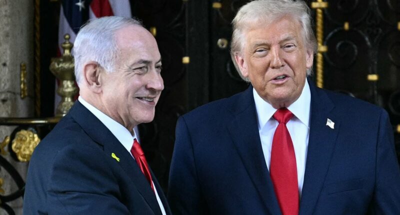 Netanyahu praises Trump for 'perfectly executed' rescue of pilot