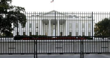 New: Man Injures Secret Service Agent As He Attempts to Breach White House Complex