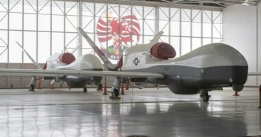 New: Navy's $200M MQ-4C Drone Declares Mayday, Disappears Near Iran