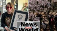 News of the World: April 11, 2026
