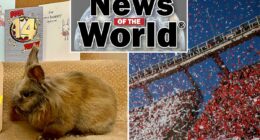 News of the world: April 25, 2026