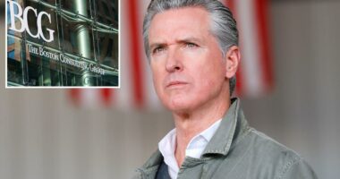 Newsom spends $20M on consultants in DOGE-inspired plan