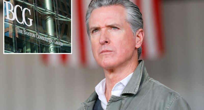 Newsom spends $20M on consultants in DOGE-inspired plan