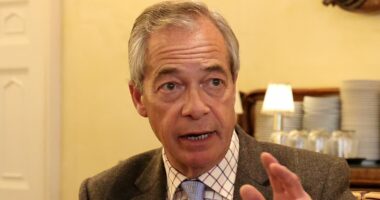 Nigel Farage on the UK's new divide - and how Reform will fix it