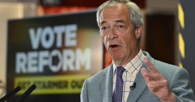Nigel Farage reveals 'firebomb' device was pushed through letterbox